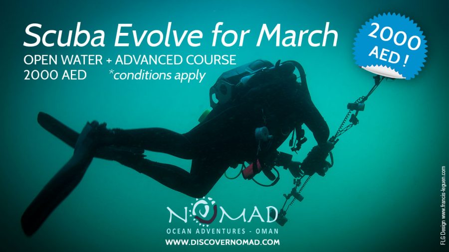 Introducing Scuba Evolve : Combine diving courses and save money!